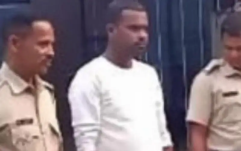 بأفعى كوبرا في السرير.. هندي ينهي