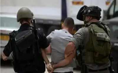 الاحتلال يعتقل 260 فلسطينيا بالضفة خلال