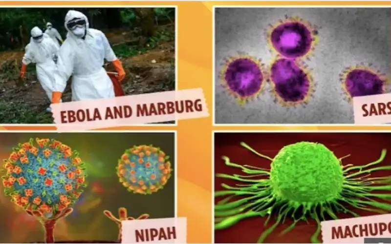 4 فيروسات يمكن أن تؤدي إلى