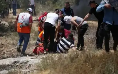 إصابة 4 فلسطينيين برصاص الاحتلال في