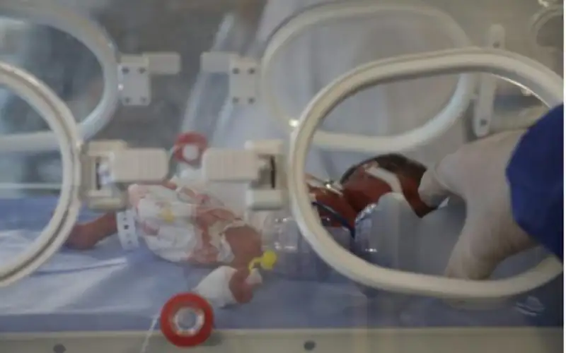 الميداني الأردني غزة 2: حالات مستقرة