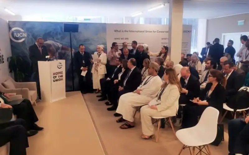 الخصاونة: زيادة الظواهر الجوية المتطرفة بالأردن