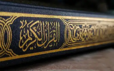 البرلمان الدنماركي يقر قانونا يحظر إحراق