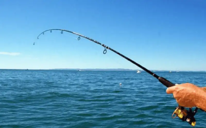 الأردن .. الزراعة والقنص والغابات وصيد