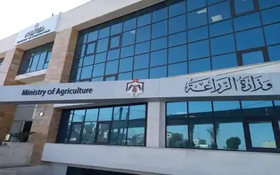 وزارة الزراعة توقف استيراد الكركم الطازج