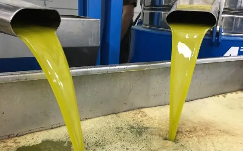 الأردن يسمح بإدخال الزيت الفلسطيني حتى