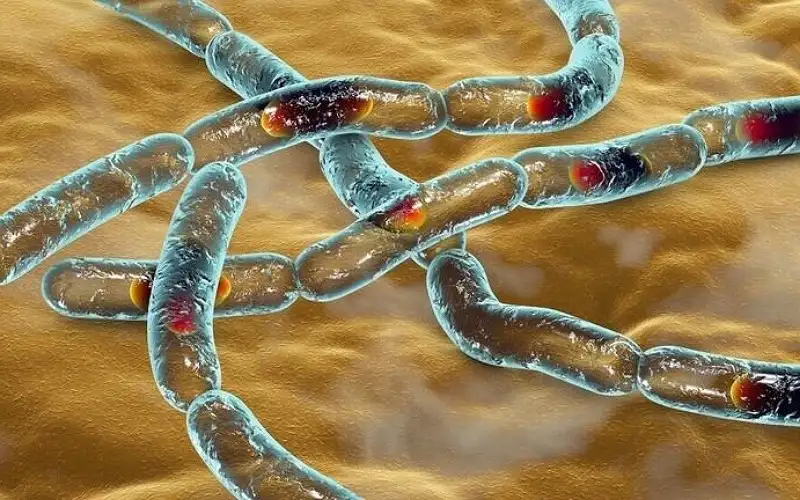 الصحة العالمية تحذر من تفشي مرض