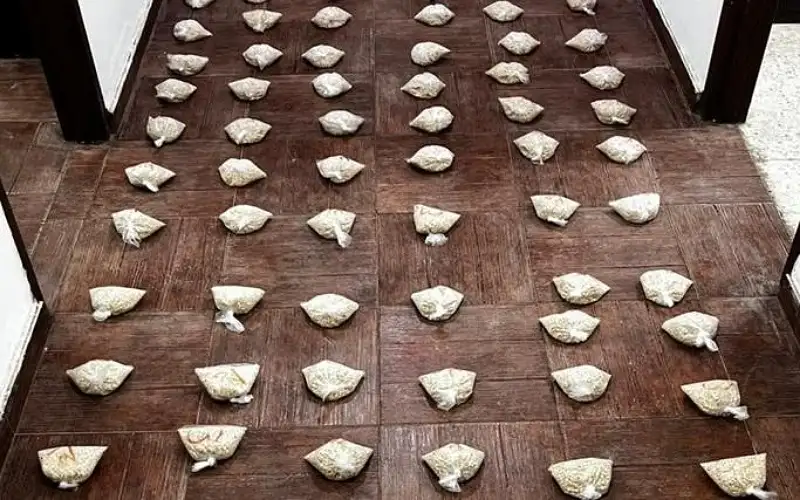 إحباط تهريب 260 ألف حبة مخدرة