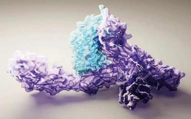 الذكاء الاصطناعي ينشئ بروتينات بشرية