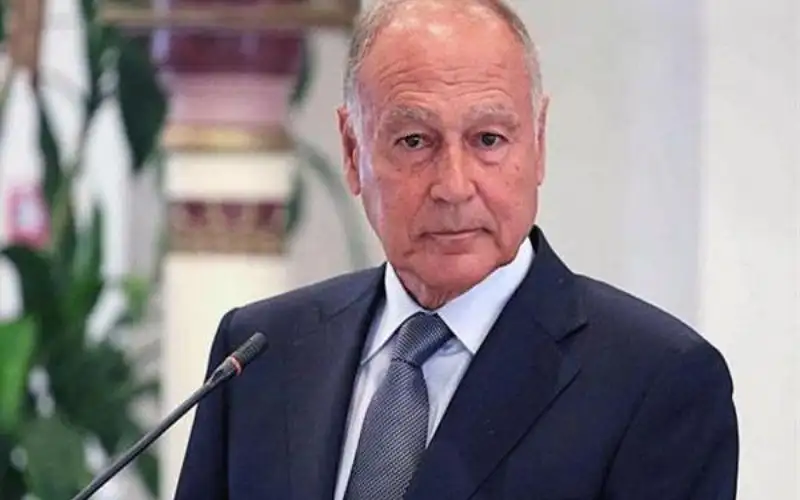 أبو الغيط: قرار مجلس الأمن جاء