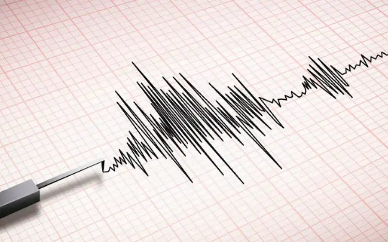 زلزال بقوة 4.6 درجات يضرب مدينة