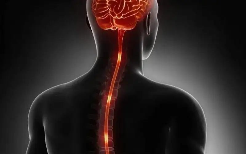 علاج جديد للاكتئاب بتحفيز الحبل الشوكي