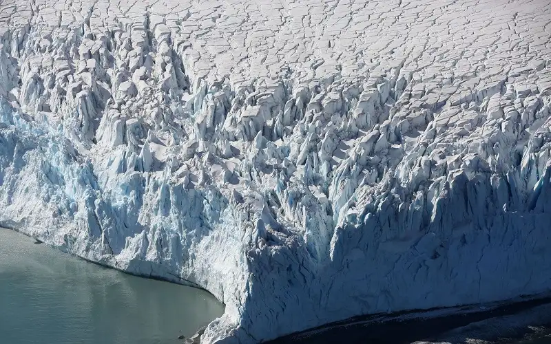 تحليل أخطبوط يكشف عن تهديد محتمل