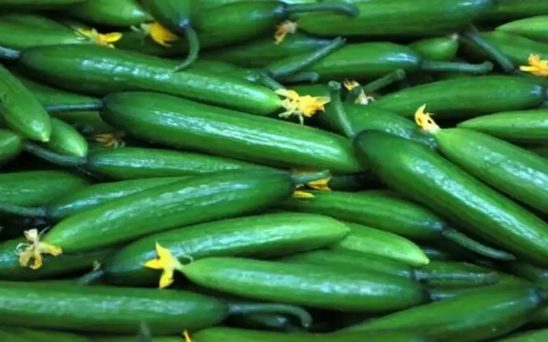 سعر الخيار يناهز الدينار في السوق