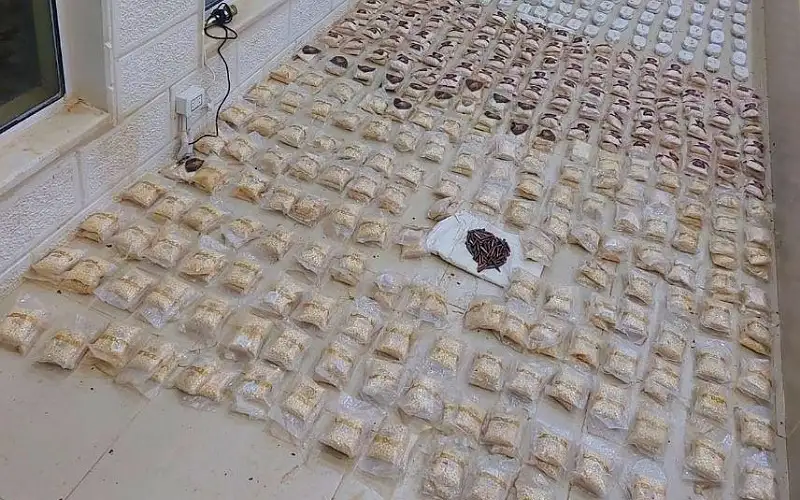 إحباط تهريب كميات كبيرة من المواد