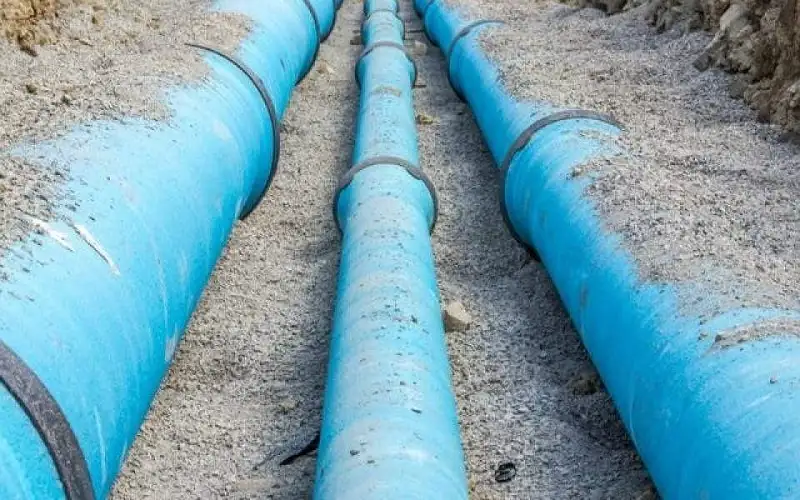 أبو السعود: شركة واحدة تأهلت لـ