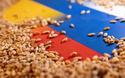 روسيا تسجل رقما قياسيا بصادرات الحبوب