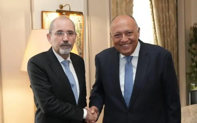 الصفدي ونظيره المصري يبحثان تكثيف جهود