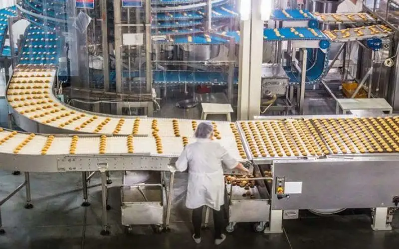 إنشاء 15 مصنعا غذائيا بالأردن منذ