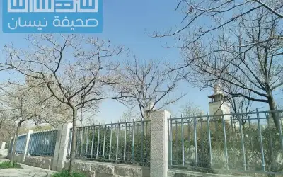 طقس بارد في أغلب المناطق