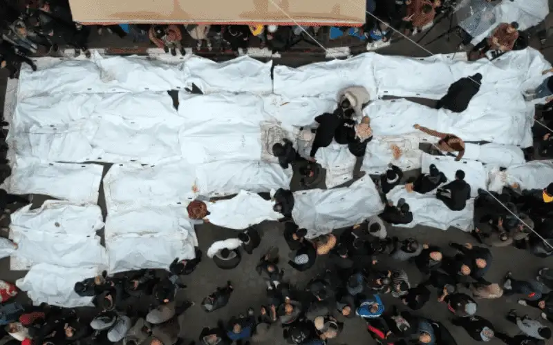 عام 2023 شهد أكبر حصيلة للشهداء