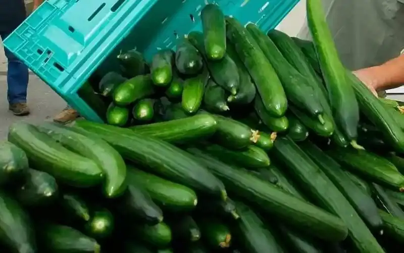 أساتذة شريعة أردنيون يؤكدون حرمة الإتجار