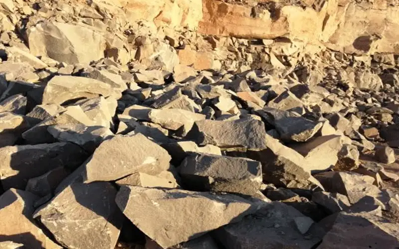 السعايدة: لا تهاون بالاجراءات القانونية بحق