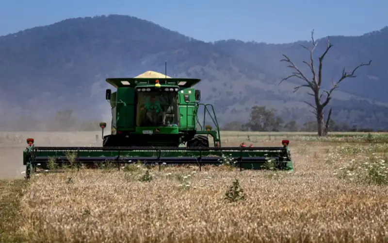 شحنات القمح العابرة لقناة السويس تتراجع