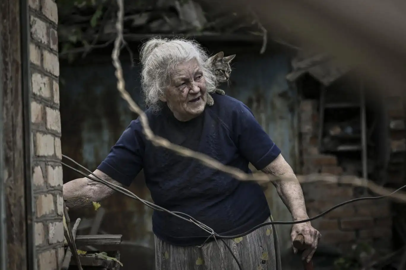 متى يعلن الغرب هزيمته فوق تراب