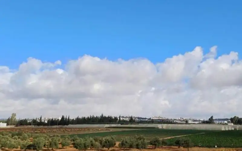 أجواء دافئة في أغلب المناطق حتى