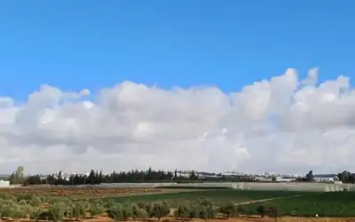 أجواء دافئة في أغلب المناطق حتى