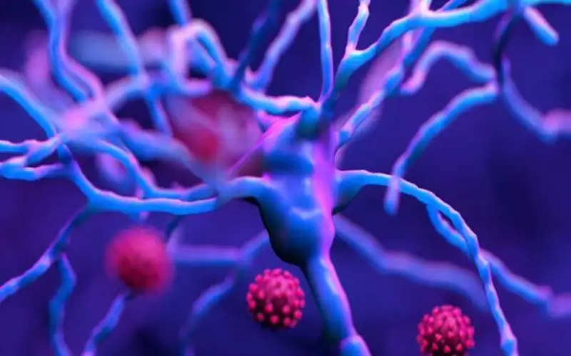 فيروس كورونا يمكنه تدمير هرمون السعادة