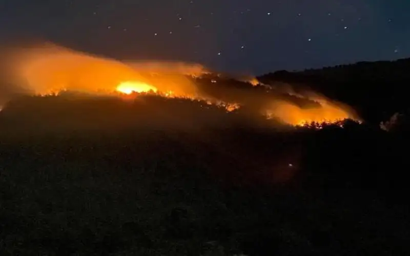 الاحتلال يحرق 8 ملايين متر مربع