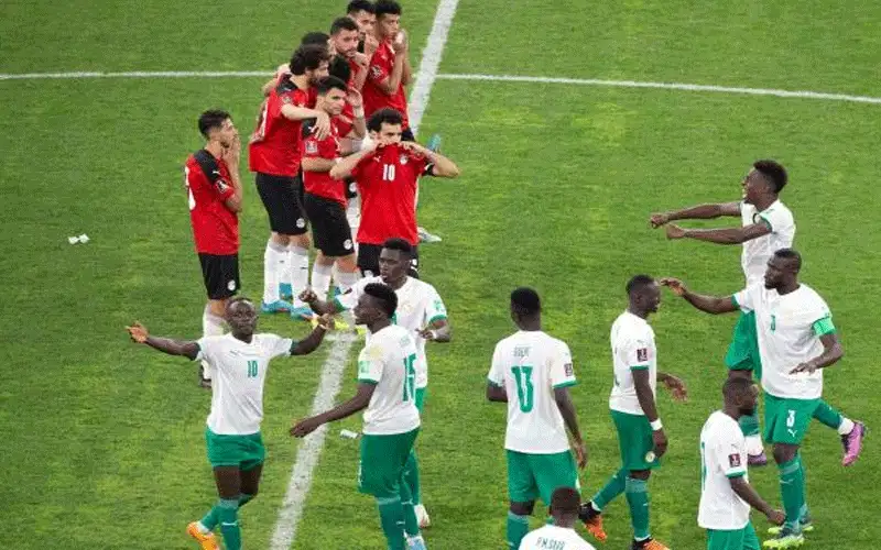 ذبح عجلا لفك النحس .. اتحاد