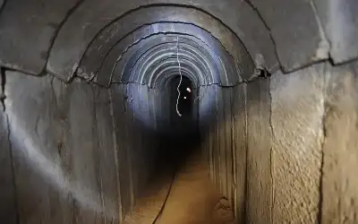 وول ستريت جورنال: نحو 80% من