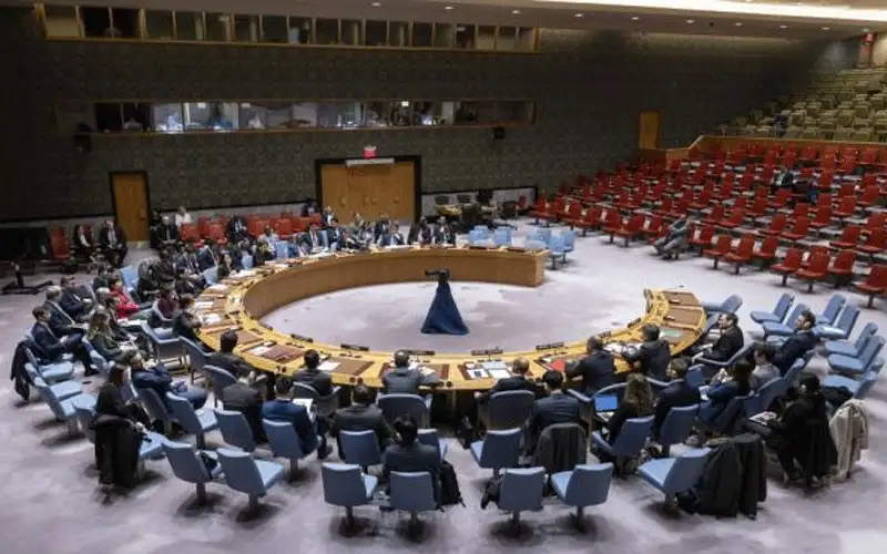 غويانا تتولى رئاسة مجلس الأمن