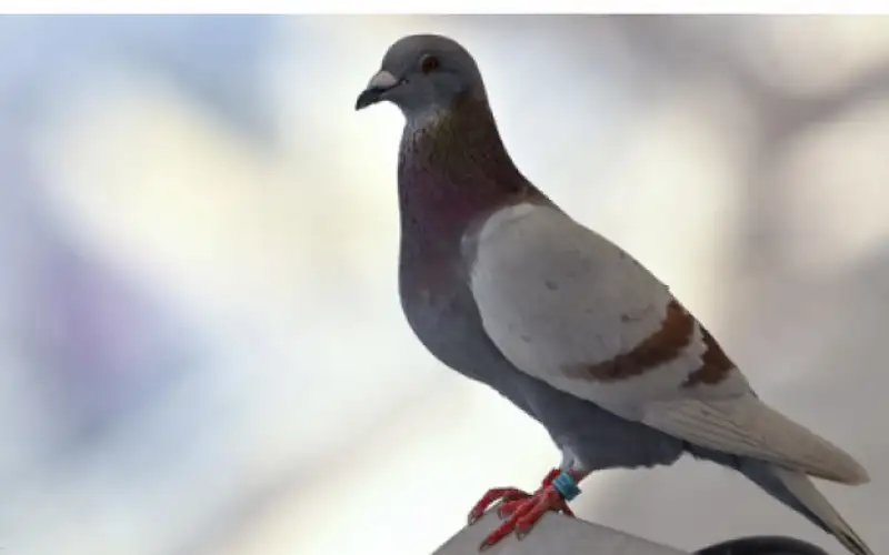 بعد 8 أشهر من حبسها ..