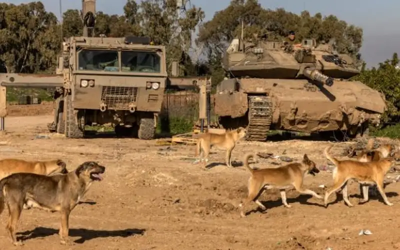 إعلام عبري يكشف تحركات جيش الاحتلال