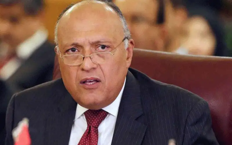 وزير الخارجية المصري: معاهدة كامب ديفيد