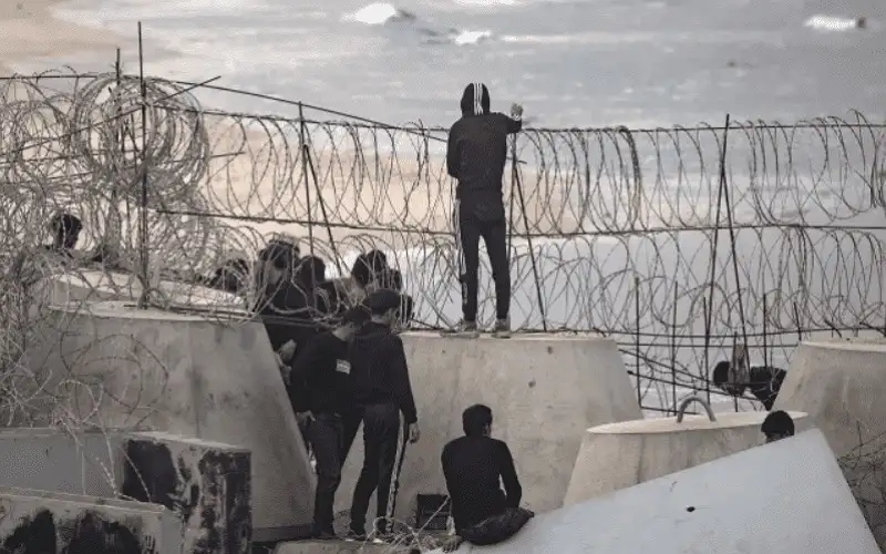 صحيفتان أميركيتان: مصر تقيم منطقة عازلة