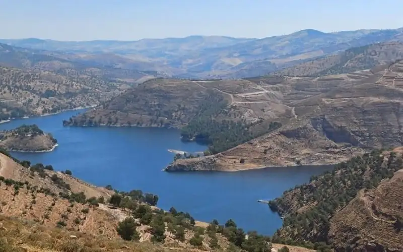 الهطولات ترفع الموسم المطري بالأردن إلى