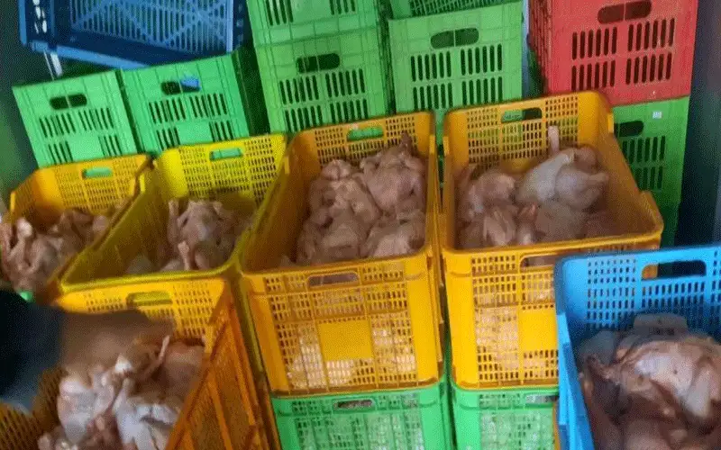 الأردن.. إتلاف 600 كيلو غرام من