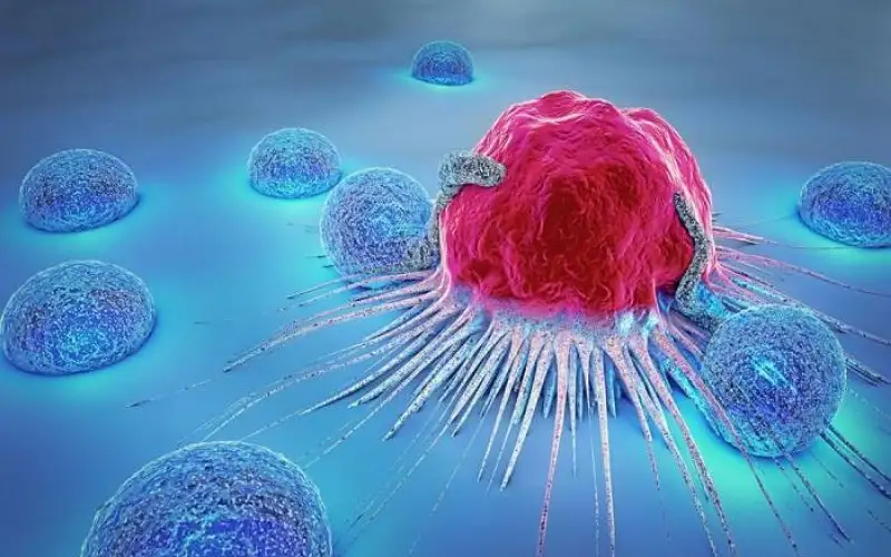 هل يمكن ترويض الوحش المسؤول عن