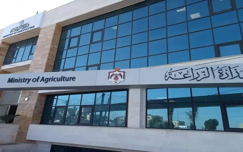 الزراعة تتوقع اعتدال أسعار الخضار والفواكه