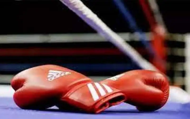 مدرب منتخب الملاكمة يشيد بنتائج المعسكر