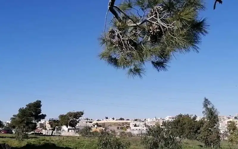 أجواء لطيفة ودافئة في أغلب المناطق