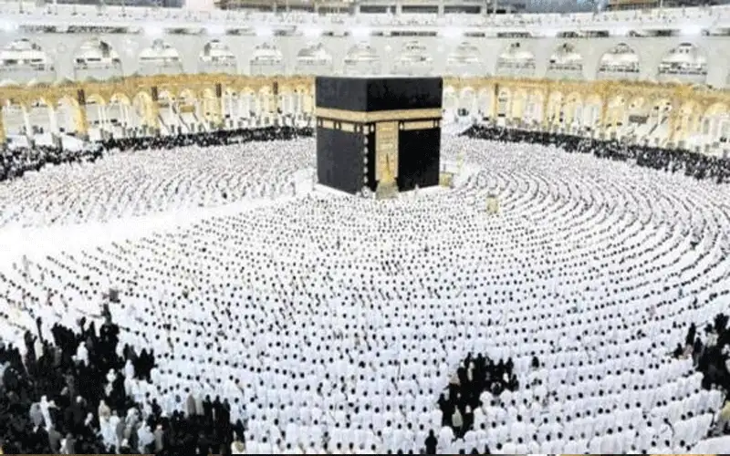 روبين: الإقبال على العمرة ضعيف وتكاليف