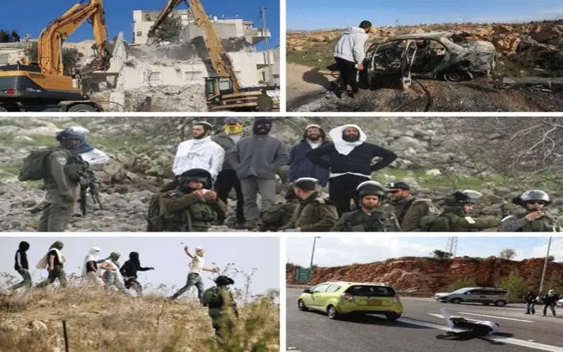 1195 اعتداء للاحتلال ومستوطنيه خلال شباط