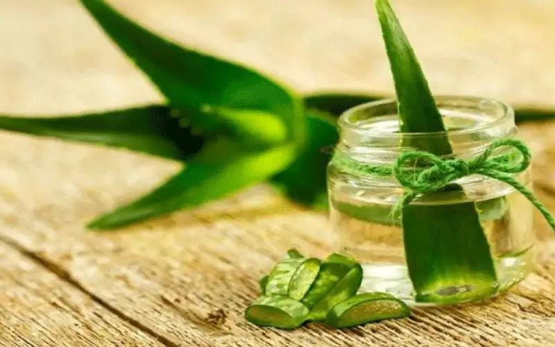 أهم فوائد الألوفيرا الجمالية