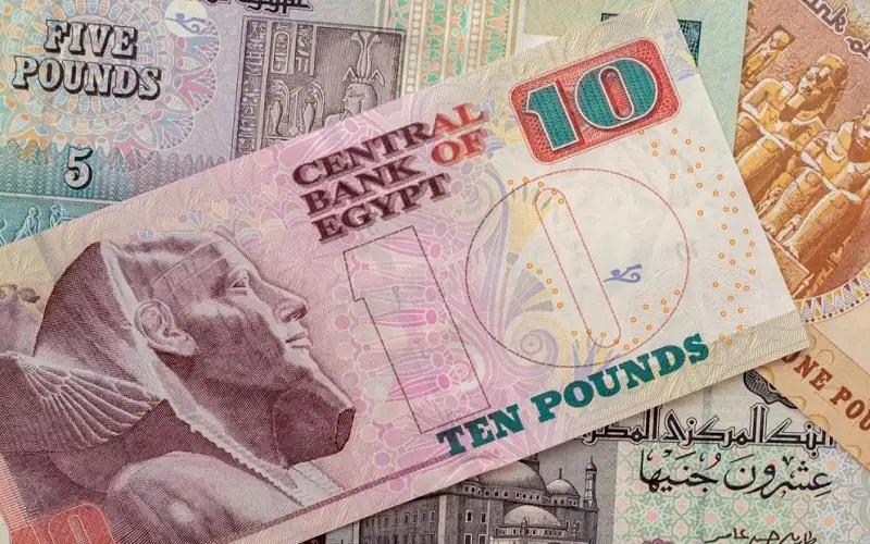 سعر الجنيه يتراجع إلى مستويات قياسية